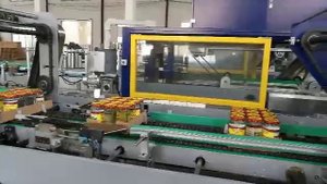 Упаковщик в термоусадочную пленку с формированием трея