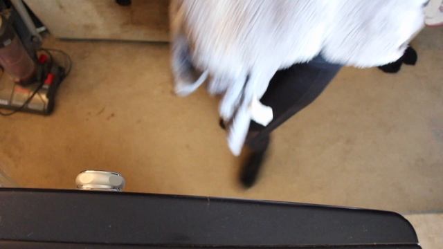 How to Clean Comforter + How to Clean Pillows| Odor Eliminator on Mattress| Shadyyness смотреть онлайн