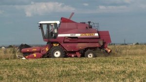 Уборка урожая комбайном БРЯНСКСЕЛЬМАШ ПАЛЕССЕ  GS 07.