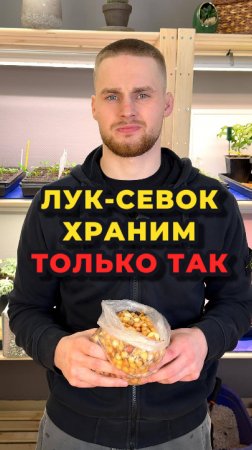 ‼️Никакой лук-севок вас не порадует большим урожаем🧅