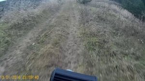 на эндуро в лесу