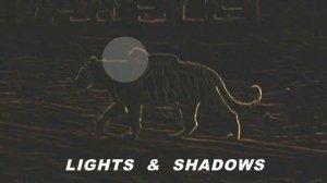 Real Mowgli / Girl Raised by a Tiger 100% Real with Proof