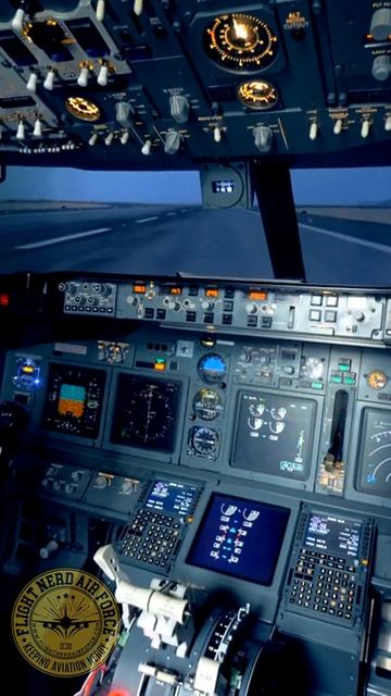 Instrument Flying Mastery: Your Key to Skilled Aviation  privatepilot flighttraining