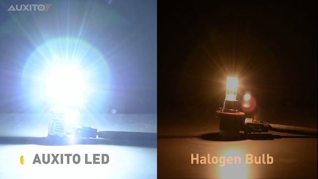 Subscribe to Pick up Your FREE LED Bulbs!