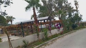 Юстиниано клуб парк конти отель 5* Турция