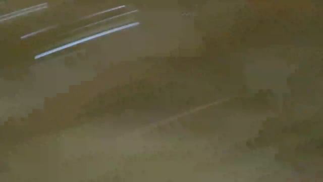 Голос соловья и он сам в конце ролика смотреть онлайн