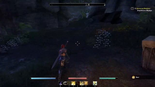 The Elder Scrolls Online. Аксил'ия. Лунный хэндж. (75) 24\03\24 смотреть онлайн