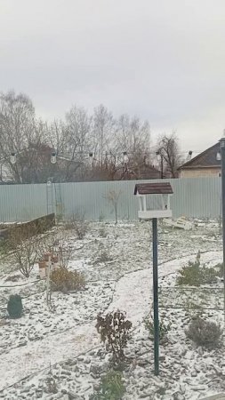 Наблюдаем за птичками