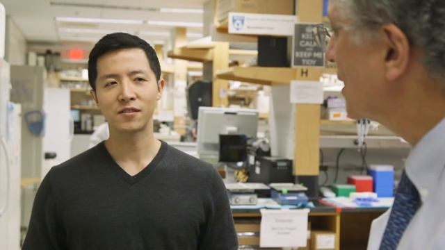 Division of Renal Medicine at Brigham and Women's Hospital смотреть онлайн