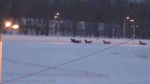 Московский ипподром. Бега. 18.02.18. Заезд 14(88)