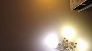 Не НаПрАСнО я МуЧаЛаСь!  (КОТОКУБ)