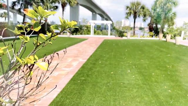 Crystal Ballroom at Sunset Harbor смотреть онлайн