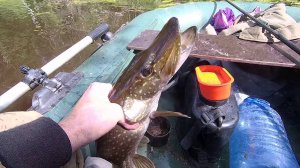 РЫБАЧИЛ НА ПОПЛАВОК, А ПОЙМАЛ ЩУКУ НА ЛЕСКУ 0,12ММ / ЭМОЦИИ ЗАШКАЛИВАЮТ.