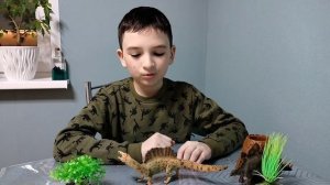 Динозавры: барионикс и спинозавр
#дино #динозавры #Dino 🦖