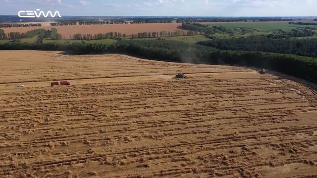 В Курской области стартовала уборочная смотреть онлайн