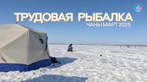 Трудовая мартовская рыбалка на чанах! Карась, судак.