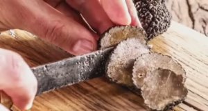 ... Почему Трюфели такие дорогие....