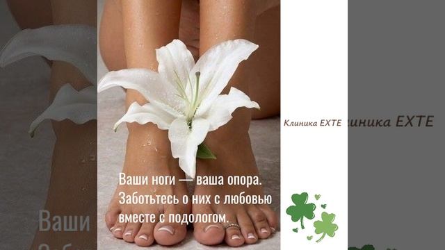 Ваши ноги — ваша опора. Заботьтесь о них!