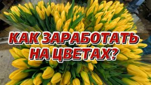 Бизнес на тюльпанах: или почему цветы стоят так дорого?