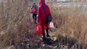 Хутор Вишняковых на связи . Возвращение в деревню , спустя месяц отсутствия.