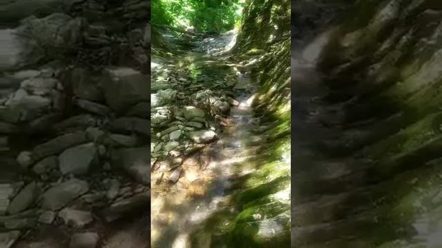 Звуки природы, пение птиц, шум леса, шум водпадов смотреть онлайн