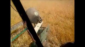 Уборка зерновых Комбайн нива ск5