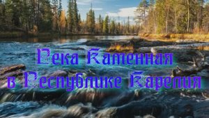 Река Каменная в Республике Карелия