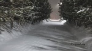 Прогулка по улице Караганды. Вьюга и буран. Қарағанды