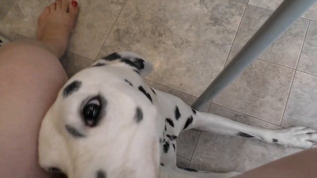 VLOG С понедельника по пятницу смотреть онлайн