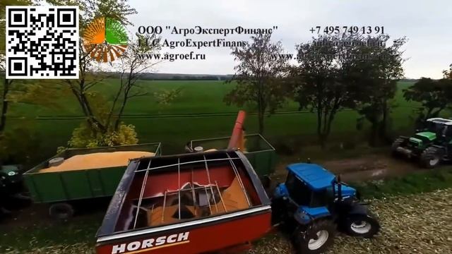 Кукурузная жатка Ziegler Сhampion