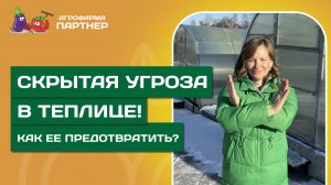 КАК ПРЕДОТВРАТИТЬ ПОЯВЛЕНИЕ ВРЕДИТЕЛЕЙ В ТЕПЛИЦЕ? // Что предпринять весной перед началом сезона?