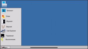 Обзор кошки 2000