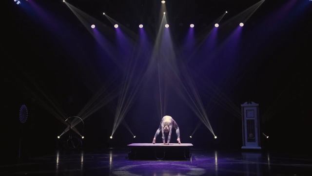 Contortion & Foot Archer Video смотреть онлайн