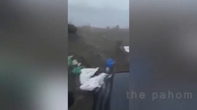 Приколы на рыбалке Встреча с дикими животными смотреть онлайн