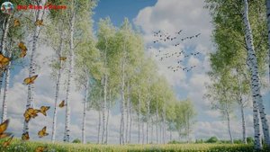 Весеннее пробуждение