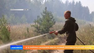 В 10 районах Мордовии ввели особый противопожарный режим