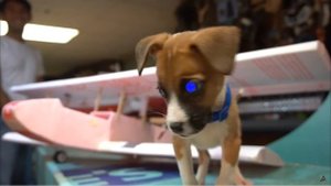 Пенопластовоэлектрический биплан_Ч1