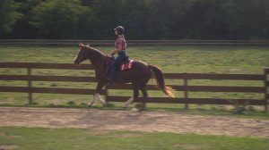 Каникулы в конном лагере | Русский трейлер | Фильм 2022