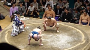 Amuru(6-2) - Kyokushuho (7-1) , Sumo : Natsubasho '15