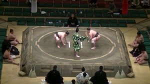 栃の濱-大乗/2017.5.24(8)/tochinohama-daijo/day11 #sumo