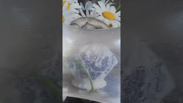 Обзор на Ninja Slime! Он протух? смотреть онлайн