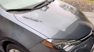 How To Remove Tree Sap (& More!) From Cars 👉🏻 Koch-Chemie Eulex