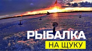 ФЛАЖКИ СТРЕЛЯЛИ ОДИН ЗА ДРУГИМ!РЫБАЛКА НА ЖЕРЛИЦЫ ВЕСНОЙ!