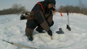 ✅🚩Основные моменты 9. Есть загар.Проверка жерлиц. Рыбалка на новых местах.