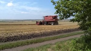 Начало уборки 2021 Case 2366