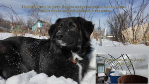 Первый выезд на дачу. Дорога на третьи сады. Заячьи следы. Ремонт бочек жидкой резиной и так далее.