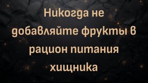 Никогда не добавляйте фрукты в рацион питания хищника (Макс Герман)