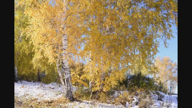 Фото слайд-шоу .....Чайковский Времена года...Природа родного края смотреть онлайн