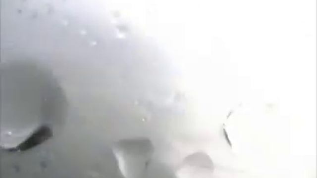 surf anchoa en canarias смотреть онлайн