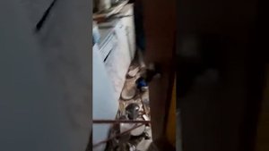 село Голубовское(Голубивка)16.032022